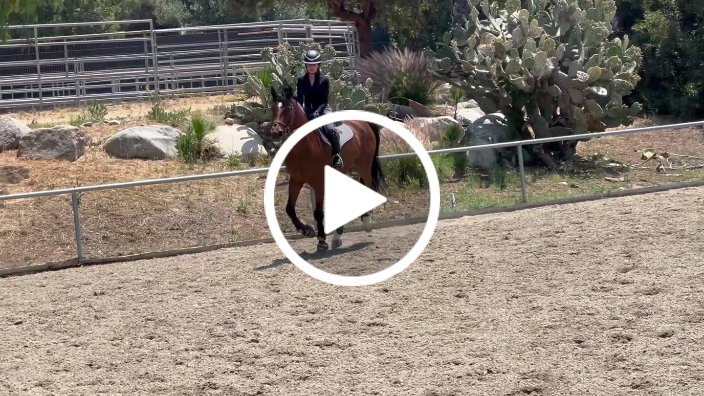 Customer video review of BLACK - ULTRA BREATHABLE LONG SLEEVE SHIRT