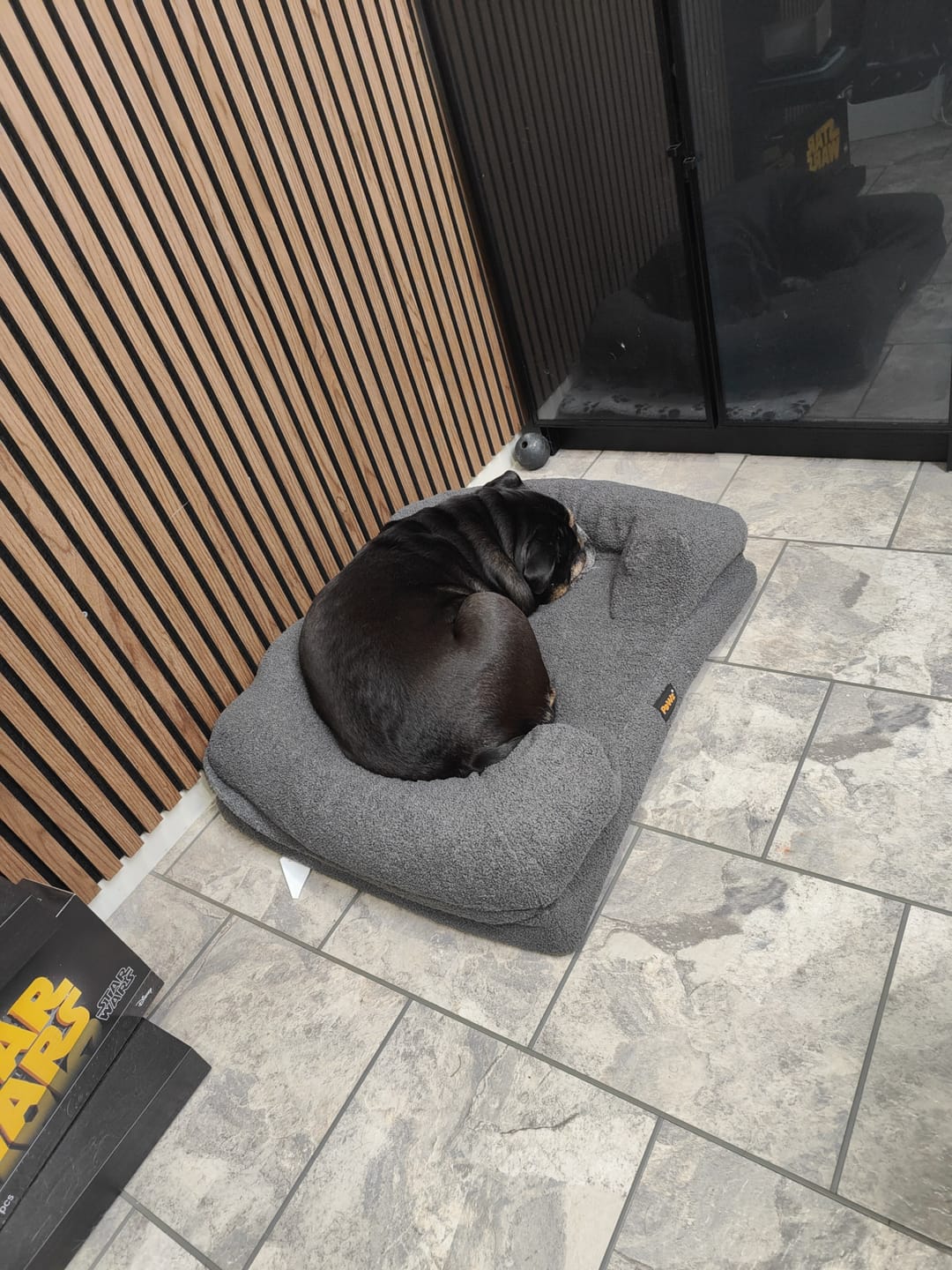 Customer photo review of PaWz Pet Boucle Bed for Dog & Cat