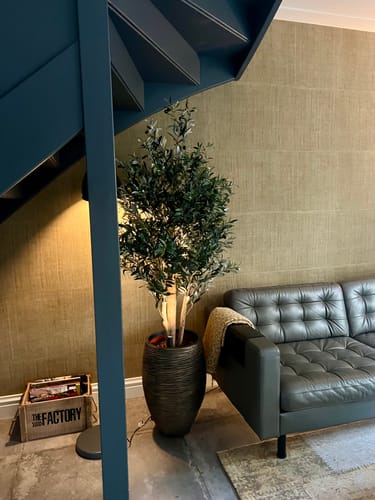 Customer photo review of Pre-Order Kunst Olijfboom 165cm Deluxe (midden mei)