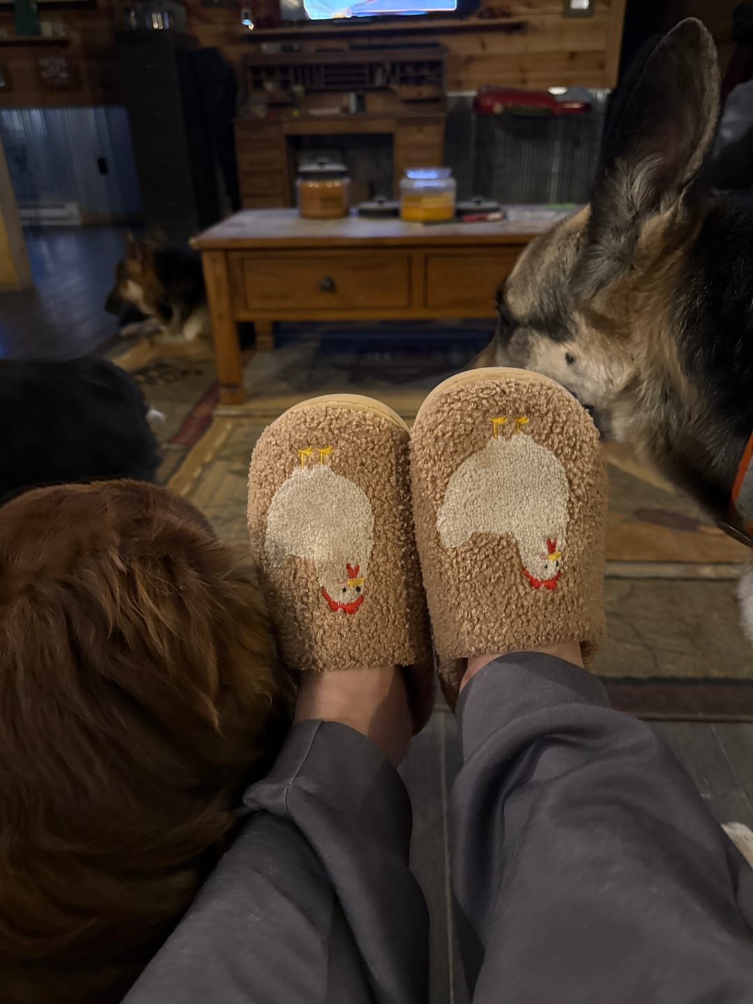 Customer photo review of Brown Fuzzy Chicken Slippers - Adult