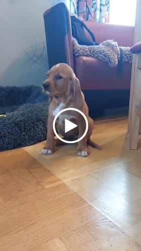 Customer video review of CalmBed - Motverkar stress & hjälper mot ångest