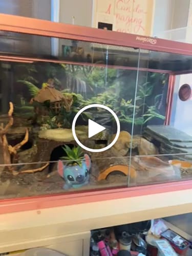 Customer video review of 50 Gallon Reptile Enclosure 36x18x18
