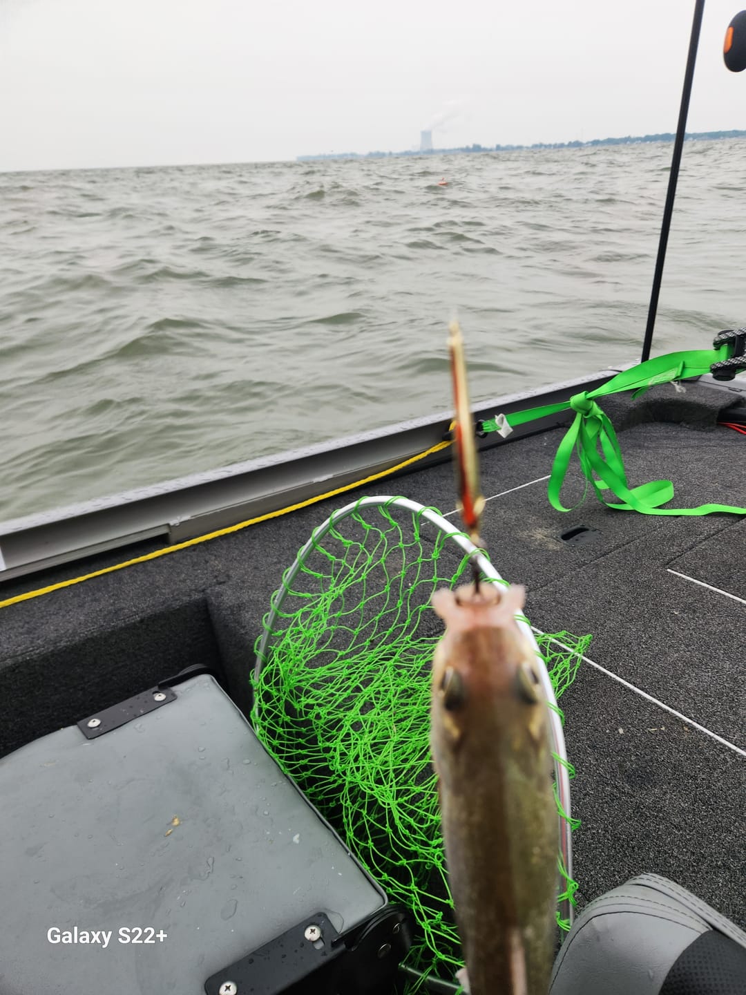 Customer photo review of STINGNOSE™ Minnow and Smelt Jigging Spoons
