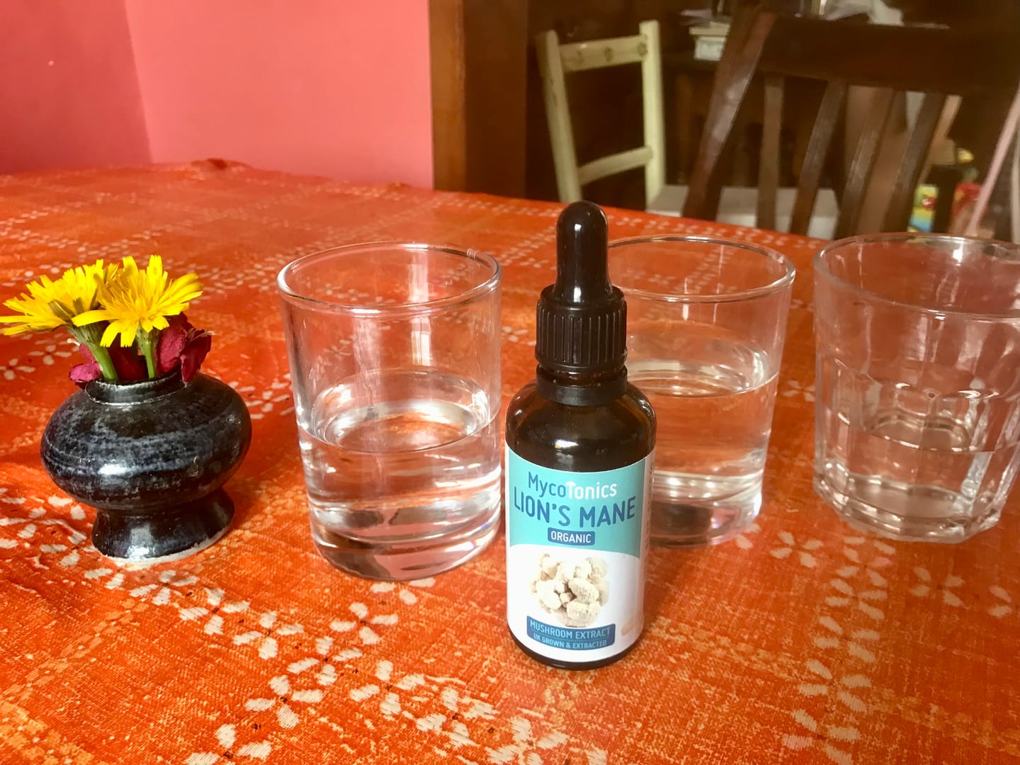 Customer photo review of Organic Lion's Mane Mushroom Extract Supplement (50ml)