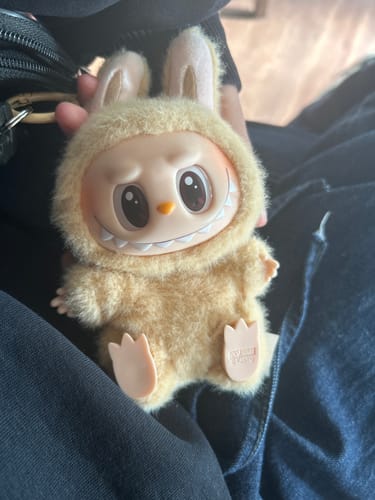 Customer photo review of Pop Mart THE MONSTERS Labubu - Have a Seat Vinyl Plush Blind Box
