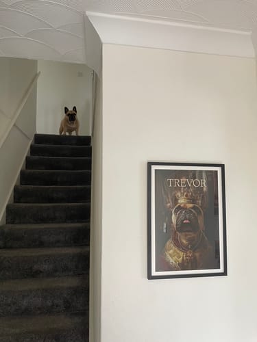 Customer photo review of The Spoiled Prince - Custom Pet Portrait