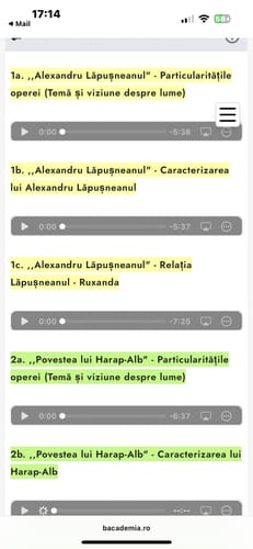 Recenzie cu fotografie de la un client despre Audiobook – Eseuri Audio BAC Română (temă și viziune, caracterizare, relație) + Quiz-uri