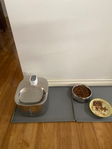 Customer photo review of Advwin 4L Pet Water Fountain & 4 Set Filter Replacement