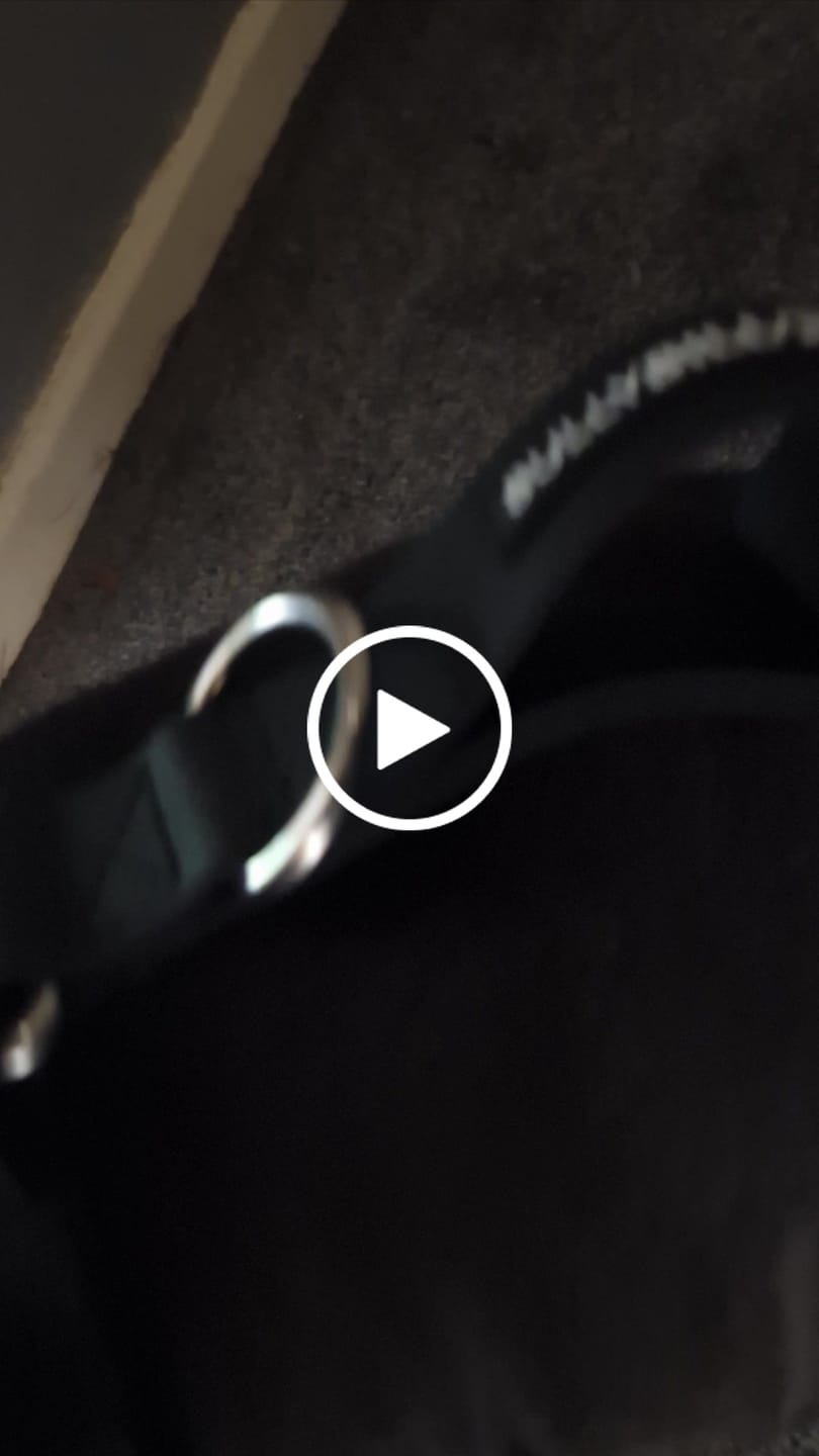 Customer video review of Billowthane® Training Anti Pull TRI-Harness® | M-XL Breeds - Black