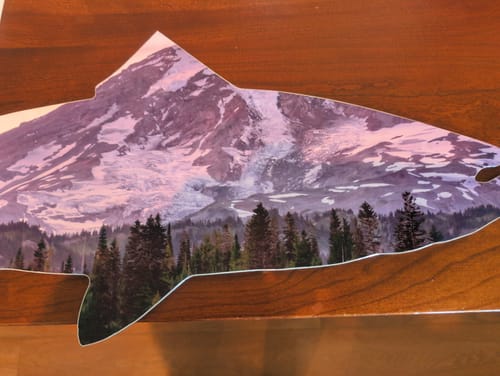 Customer photo review of Mount Rainier Trout - Metal Wall Art