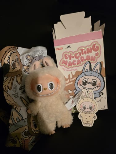 Customer photo review of Pop Mart Labubu The Monsters Tasty Macarons Vinyl Plush Pendant Single Blind Box