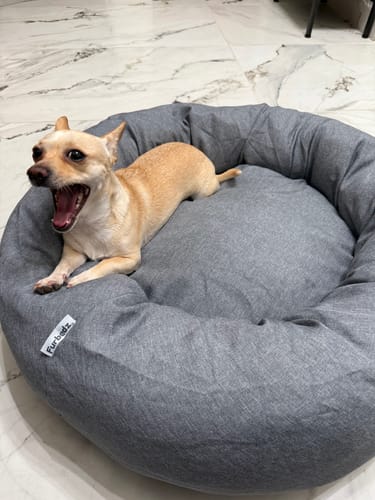 Customer photo review of Funda Lino para Cama Antiestrés para Perros