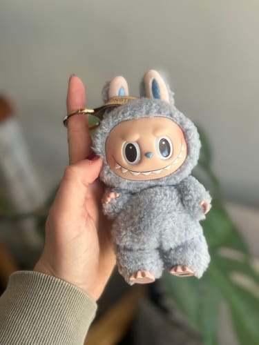 Customer photo review of Pop Mart Labubu The Monsters Tasty Macarons Vinyl Plush Pendant Single Blind Box
