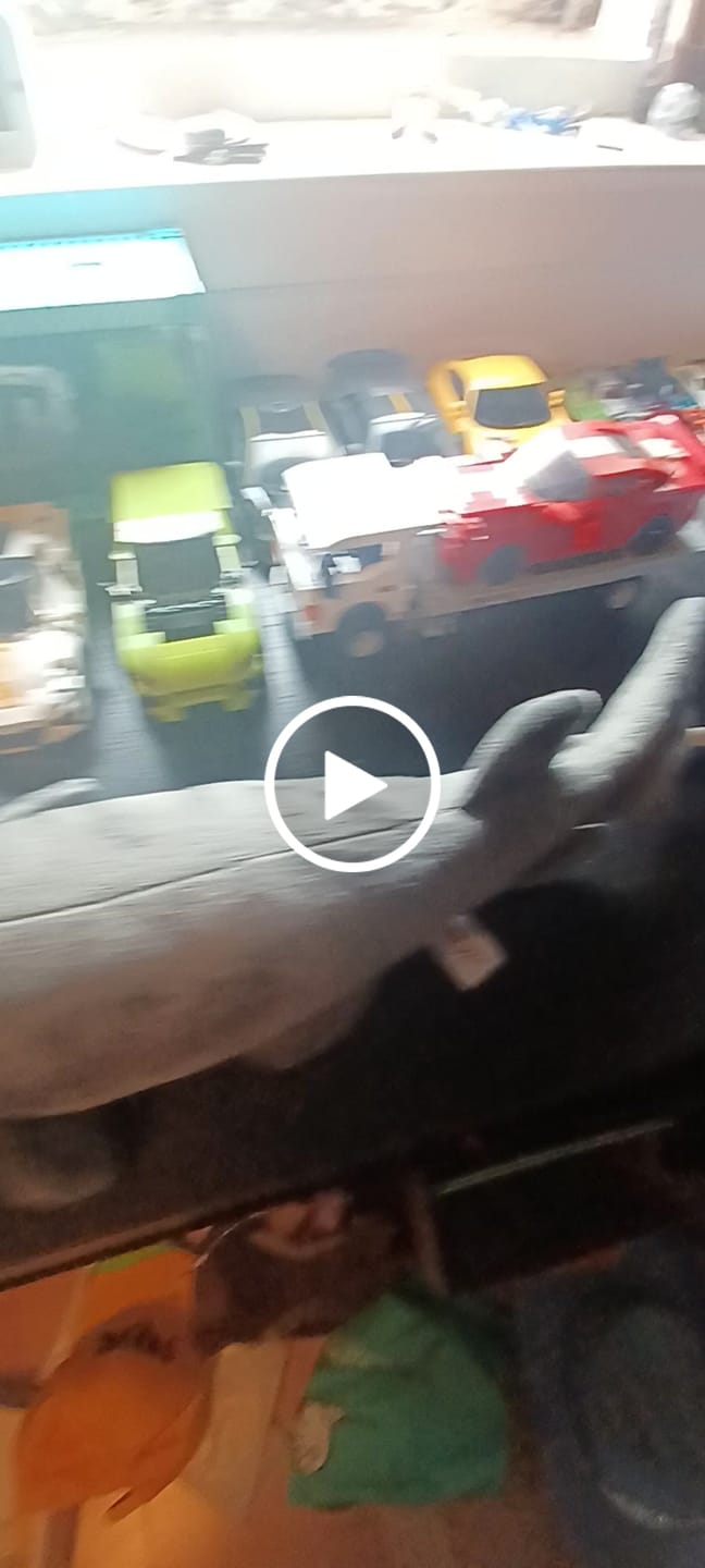 Customer video review of Frilled Shark Soft Stuffed Plush Toy