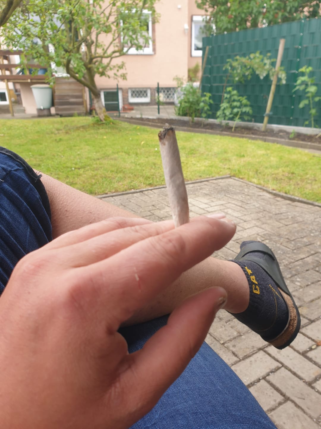 Customer photo review of Vollis Turbobud - SATIVA TURBO LVL 5/5