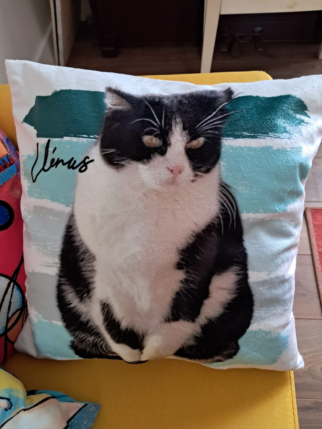 Customer photo review of Photo avec rayures aquarelles - Coussin personnalisé