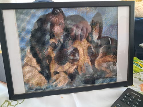 Kundenbewertung mit Foto zu Deutscher Schäferhund
