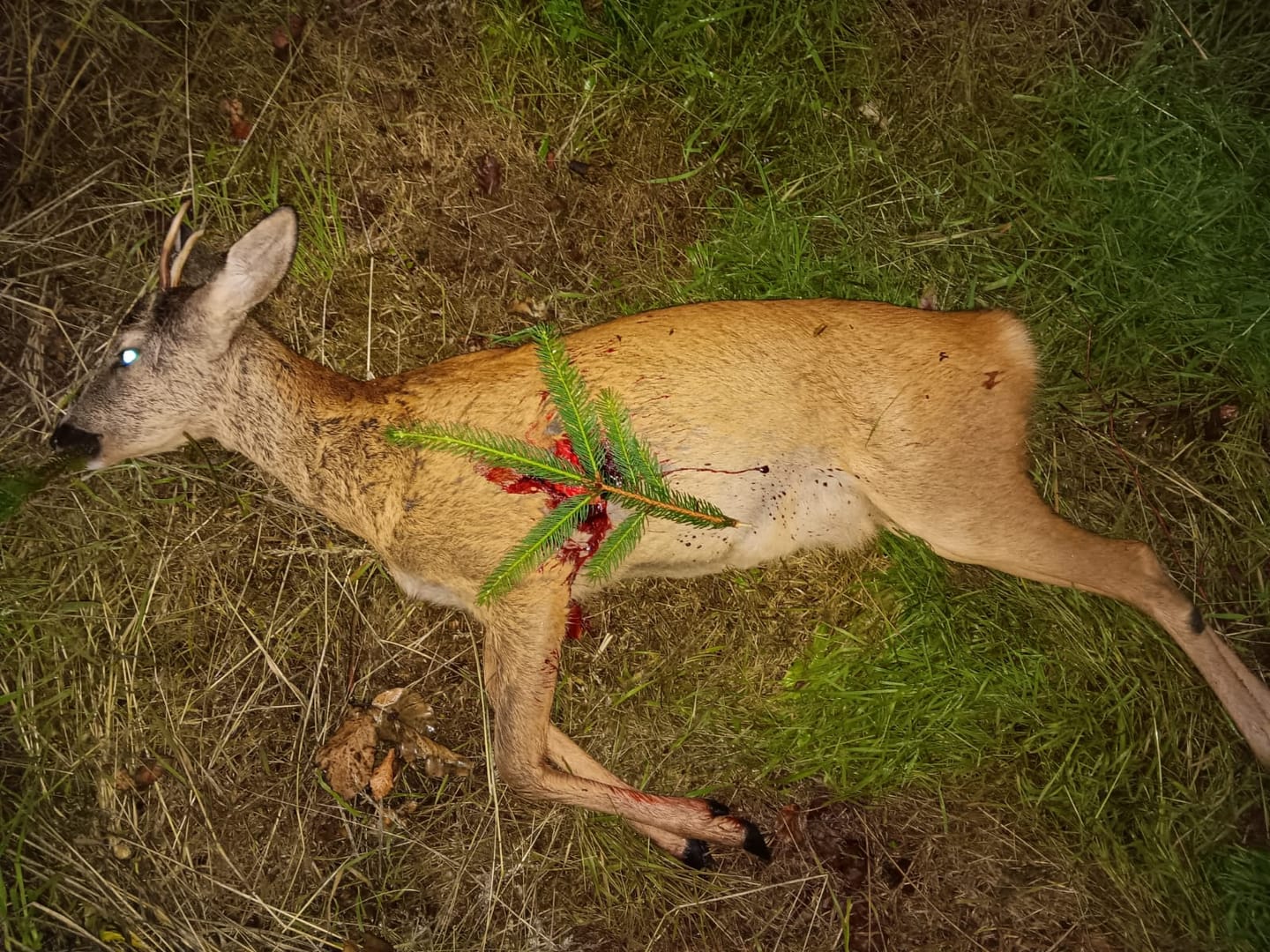 Customer photo review of Salzspray Apfel - Lockmittel Rehwild, Schwarzwild, Rotwild und Damwild