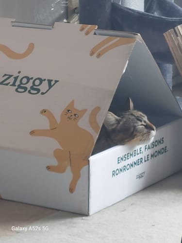 Avis photo d'un client sur Pâtée Chat Stérilisé Sans Céréales - Poisson Blanc