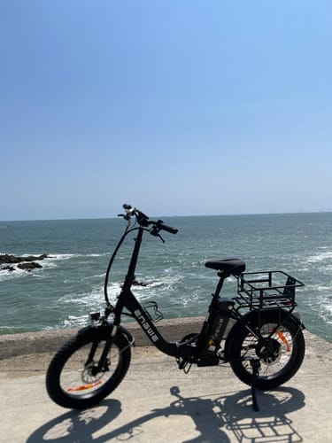 Customer photo review of Engwe L20 SE 250W 20" Foldable Electric Bike 561Wh Trekking Bike Step-through E-bike 36V 15.6Ah Battery