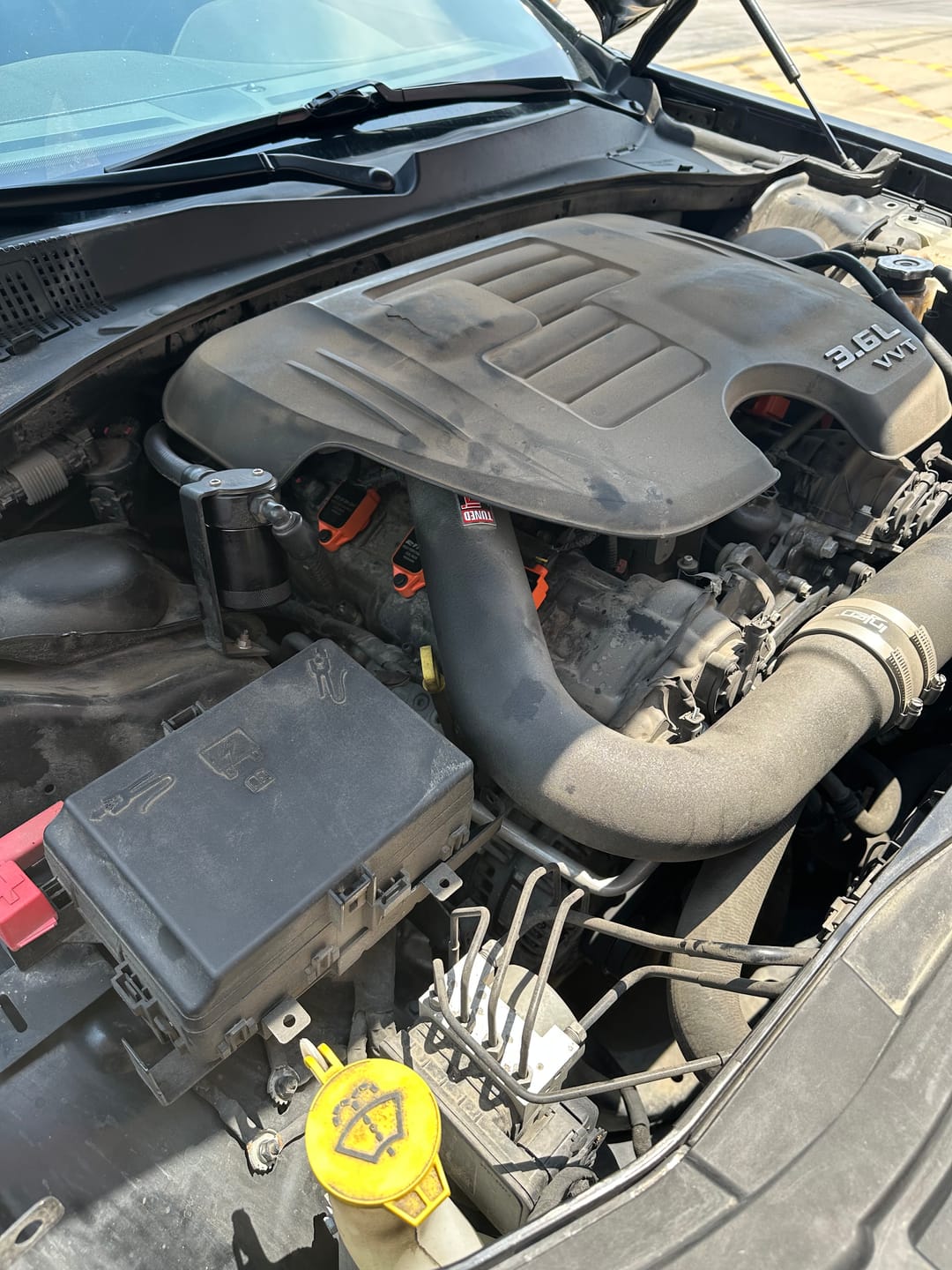 Customer photo review of RIPP V6 High Performance Coil Packs