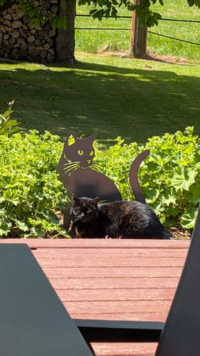 Customer photo review of Gartenstecker Katze sitzend