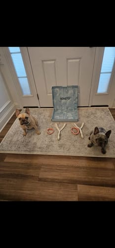 Customer photo review of Boneflex Ultra Ivory Harness