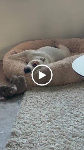 Customer video review of CalmBed - Motverkar stress & hjälper mot ångest