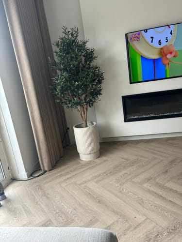 Customer photo review of Pre-Order Kunst Olijfboom 170cm Deluxe (eind mei)