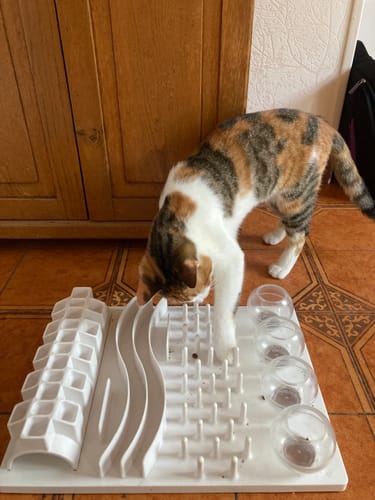 Avis photo d'un client sur Croquettes Chat Stérilisé Sans Céréales - Poulet