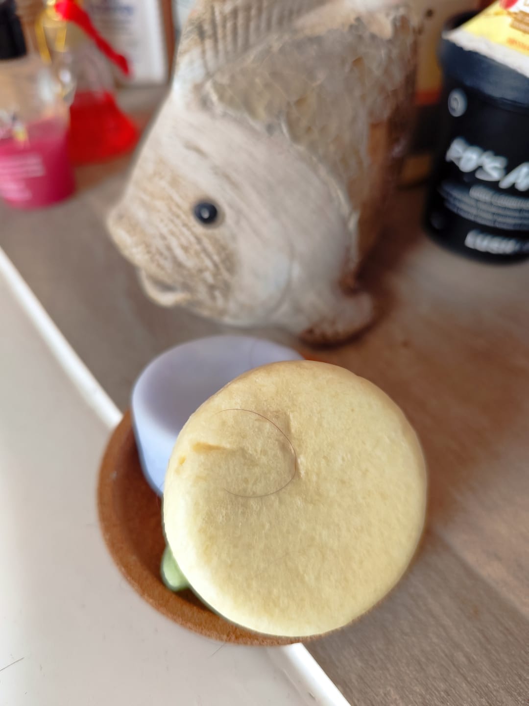 Customer photo review of Lemon & Mint 2.0