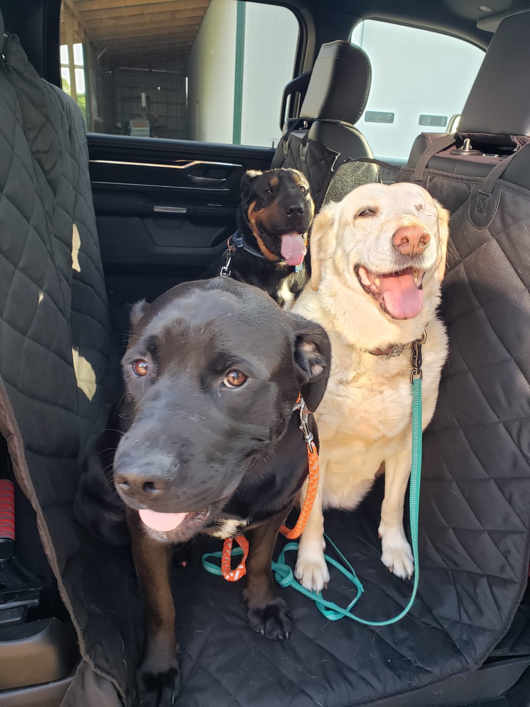 Customer photo review of Floor Hammock for Crew Cab Trucks - Passenger Side