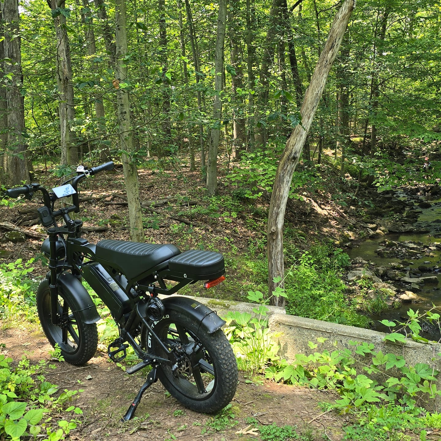 Customer photo review of Tamobyke V20 PRO Electric Bike