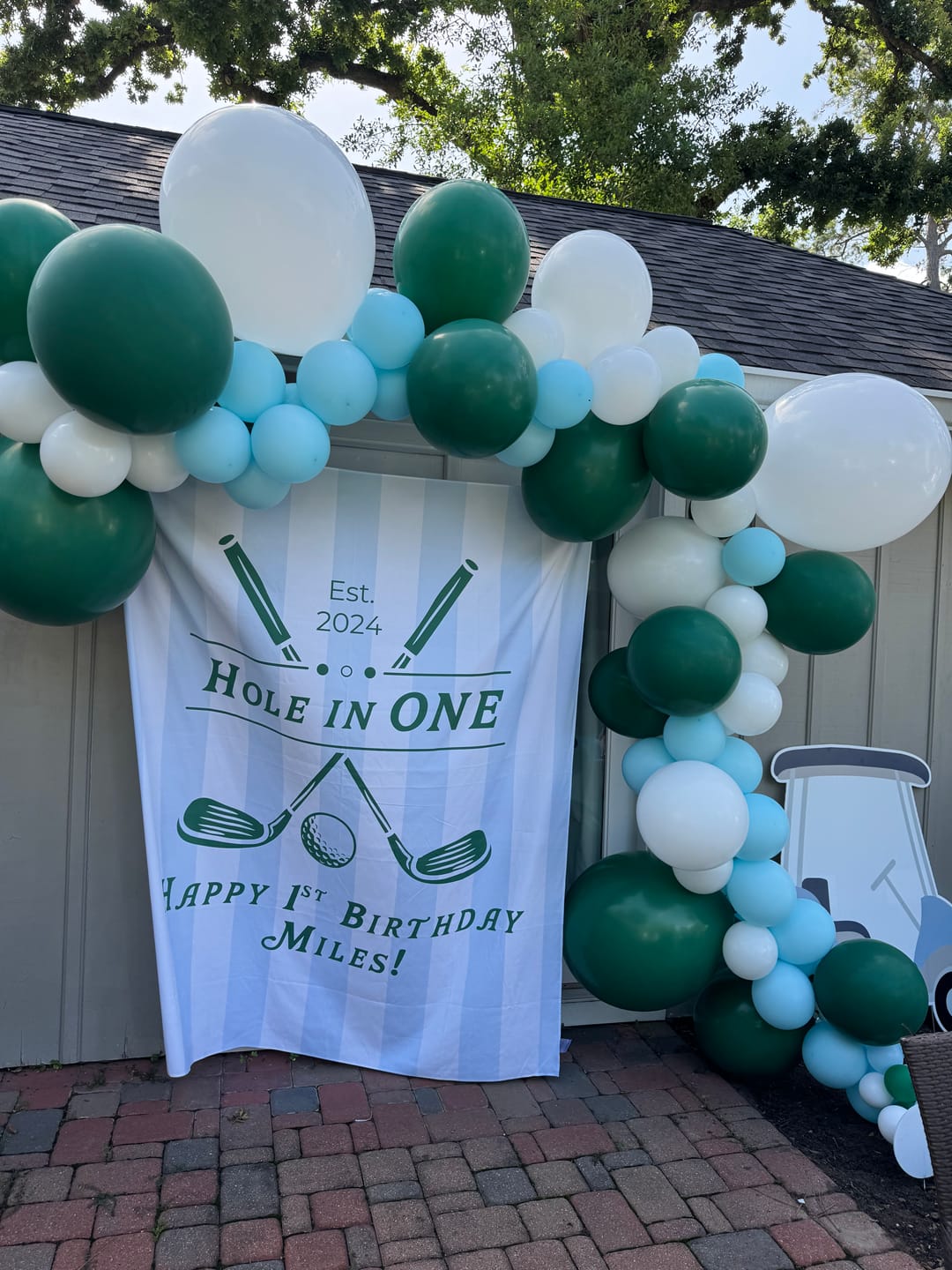 Customer photo review of DIY Balloon Kit - Create Your Own Color Mix