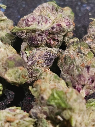 Customer photo review of Frosted Donuts Exotic THCA Flower