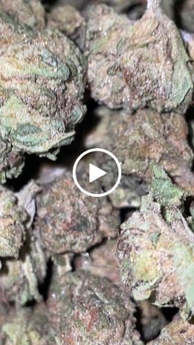 Customer video review of Cheap THCA Smalls Pound