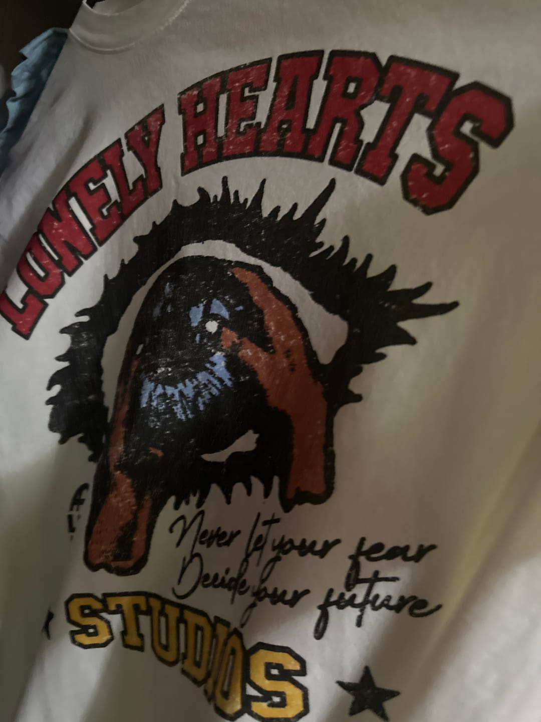 Customer photo review of Never Let Your Fear Define Your Future Premium T-Shirt