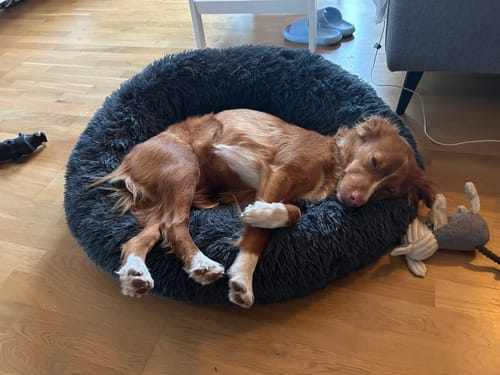 Customer photo review of CalmBed överdrag