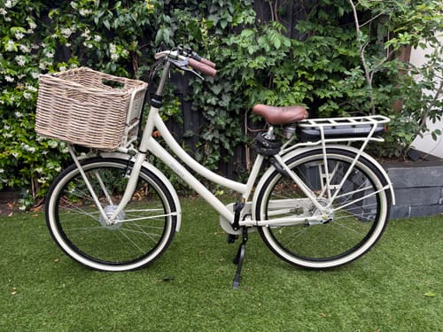 Customer photo review of E-Cargo N3