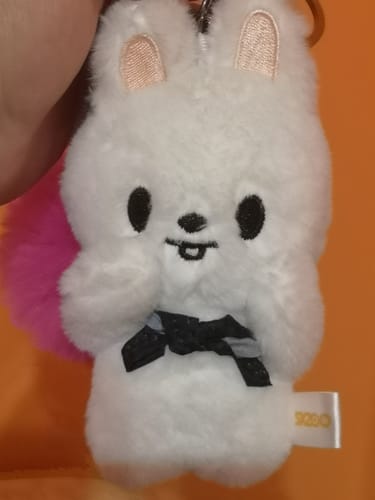 Customer photo review of Kpop Doll Magnetic Keychain