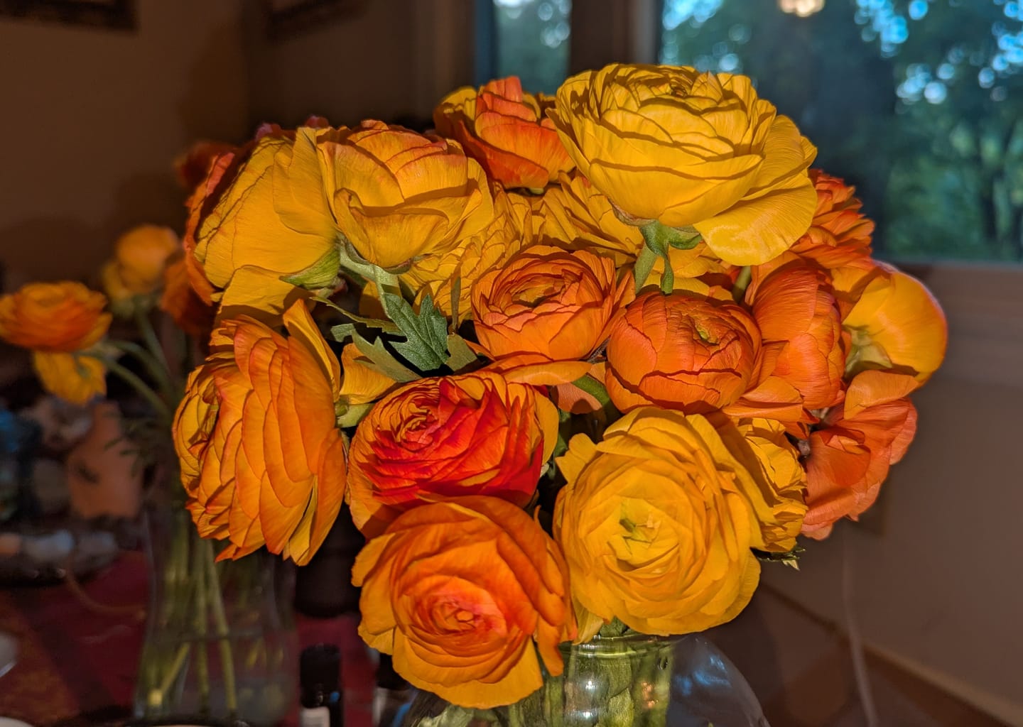 Customer photo review of Orange Ranunculus