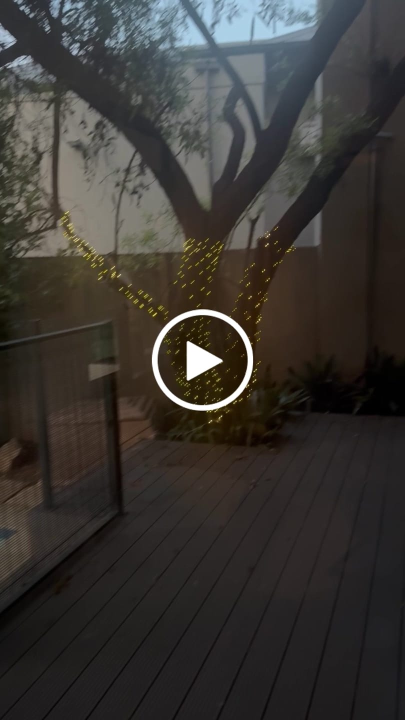 Customer video review of Black String Solar Fairy Lights