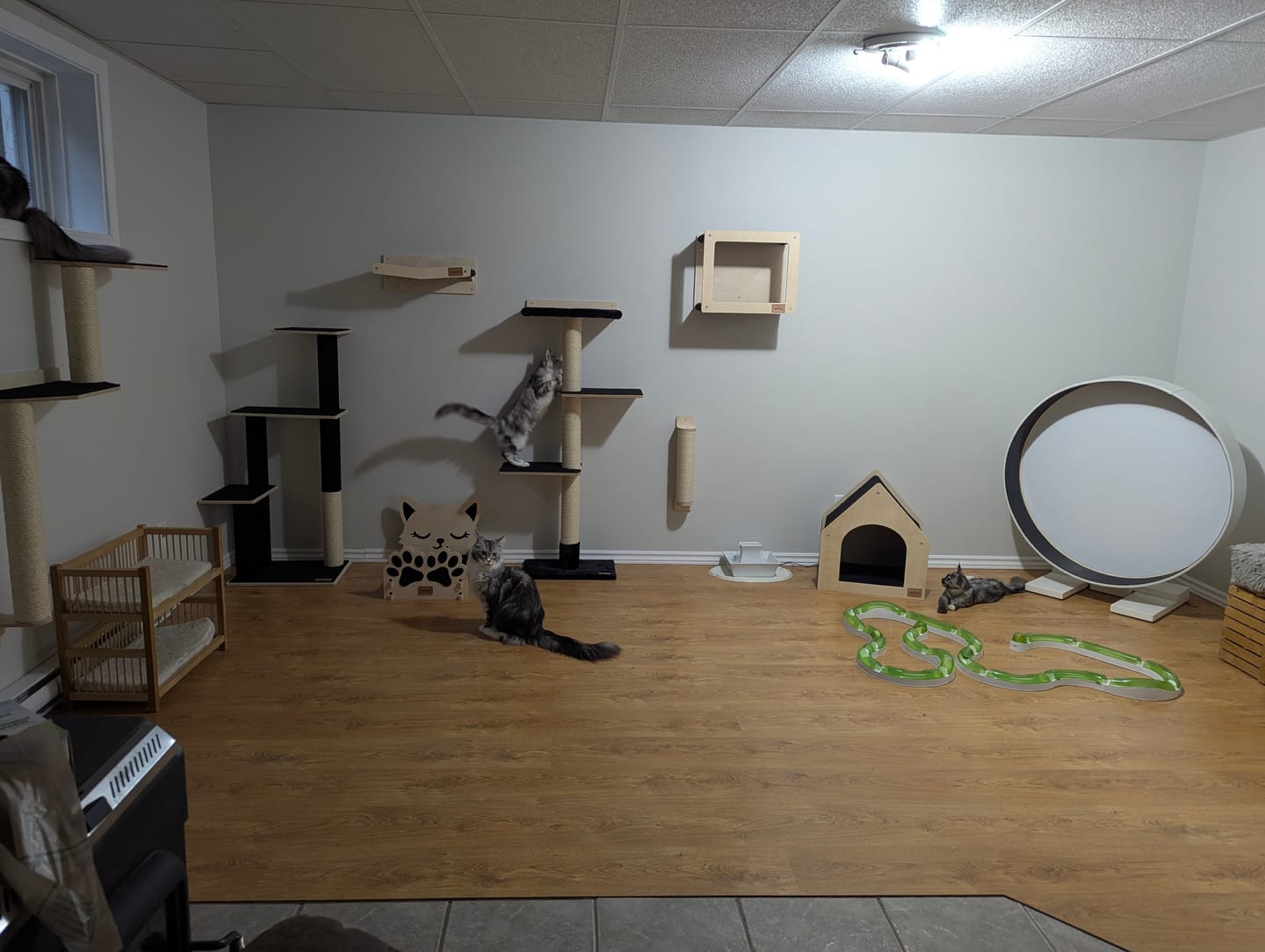 Customer photo review of Noba Mural System Kit- The Vertical Playground