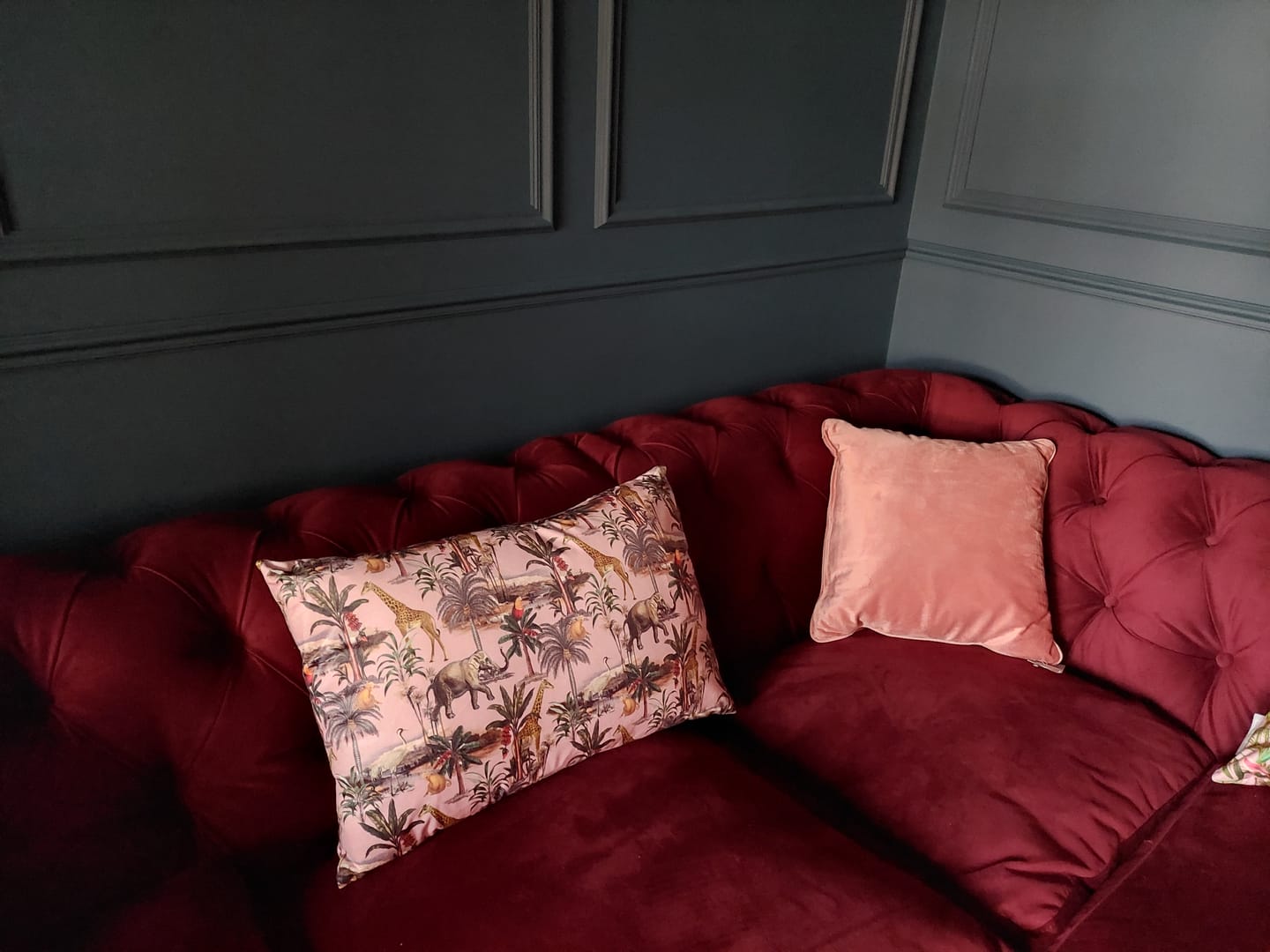 Customer photo review of Safari Voyage | Sustainable Velvet Rectangle Cushion