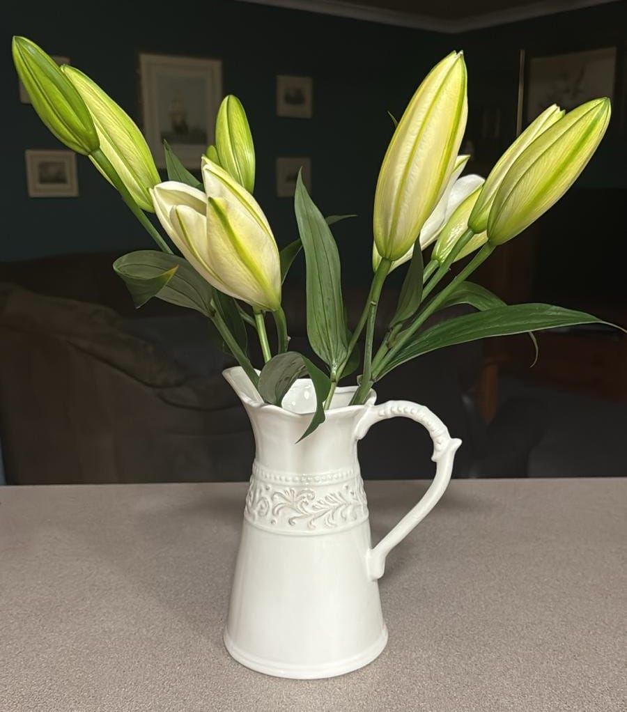 Customer photo review of White Oriental Lilies