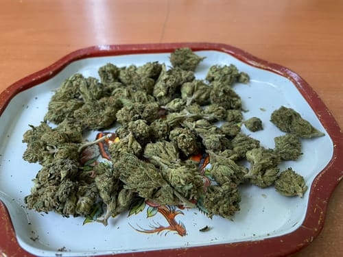 Customer photo review of Grape Gelato