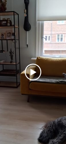 Customer video review of Strelitzia Kunstplant 180cm