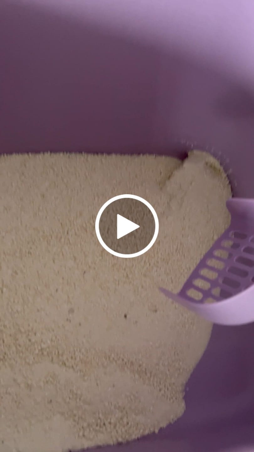 Customer video review of Michu Wonder Litter - Plant-Based & Automatic-Box Friendly 2.5kg/6L