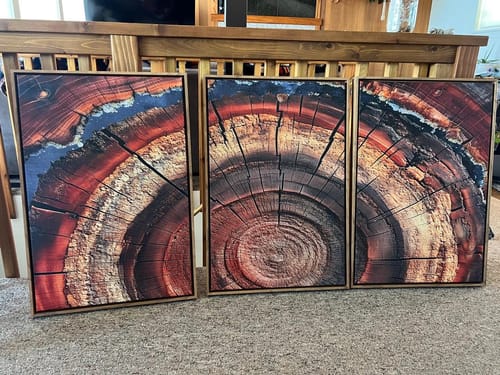 Customer photo review of Abstract Tree Ring Wall Art, Colorful Framed Tree Ring Wall Decor, Minimalist Home Canvas Art, Modern Farmhouse Decor