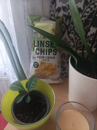 Customer photo review of Bio Linsen Chips Sour Cream (vegan)